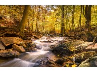 Bondecor Obraz, tištěné plátno Voda 70 x 110 cm