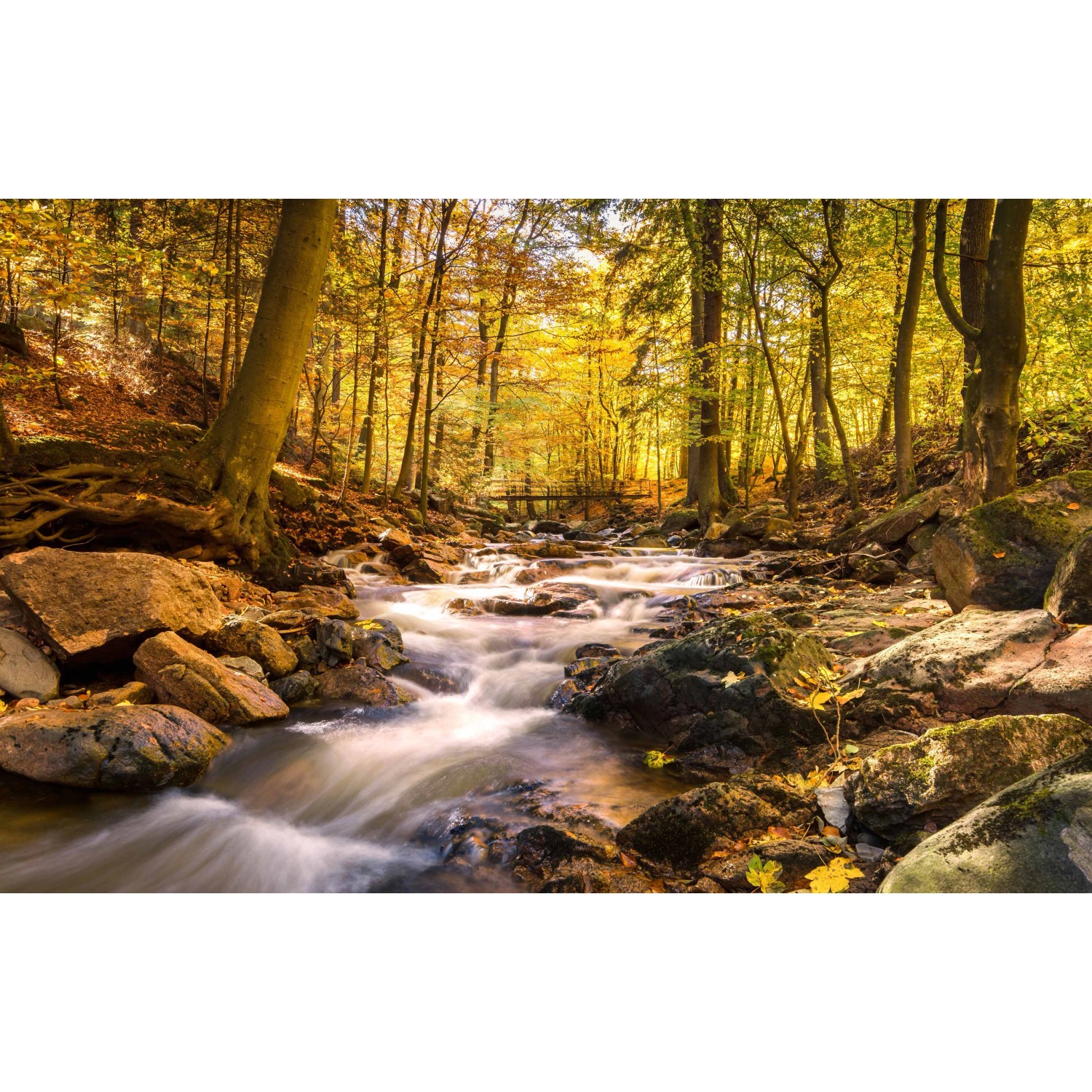 Bondecor Obraz, tištěné plátno Voda 70 x 110 cm