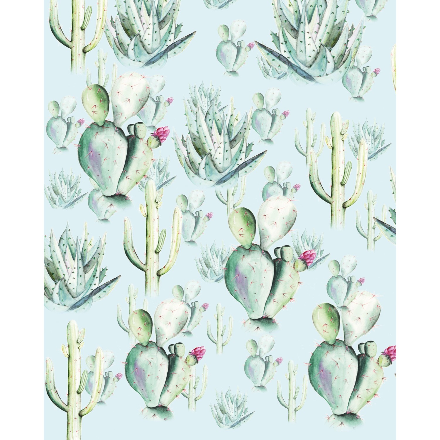 Komar Vliesová fototapeta Cactus Blue 200 x 250 cm