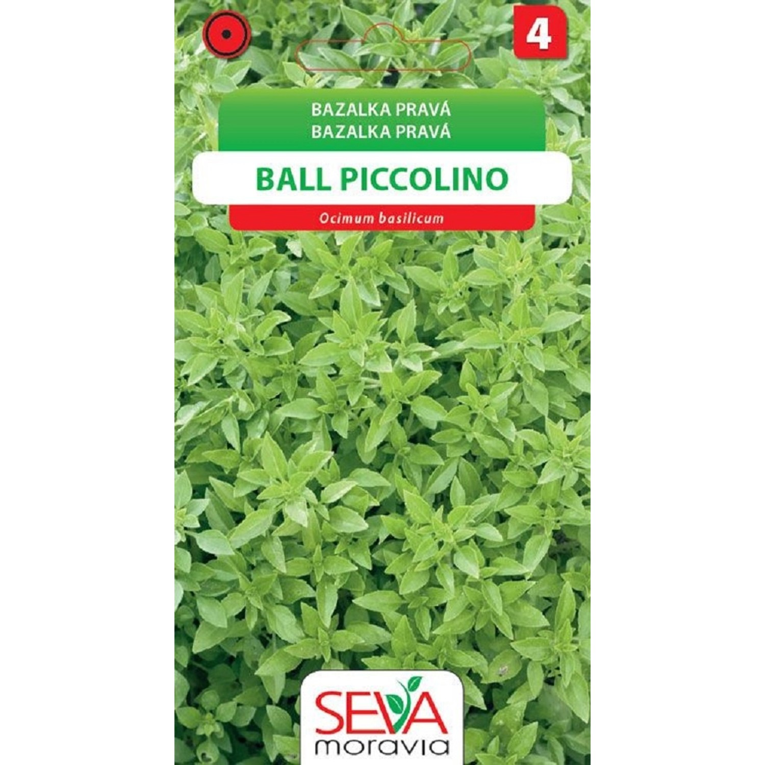 Semínka Bazalka pravá Ball Piccolino (Ocimum basilicum)