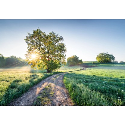 Komar Papírová fototapeta Meadow Trail 368 x 254 cm