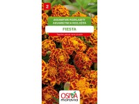 Semínka Aksamitník Rozkladitý Fiesta, červenohnědá (Tagetes patula nana double)