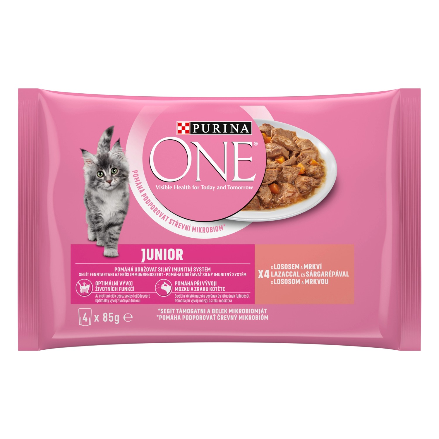 Purina ONE Junior minifiletky s lososem a mrkví ve šťávě pro kočky