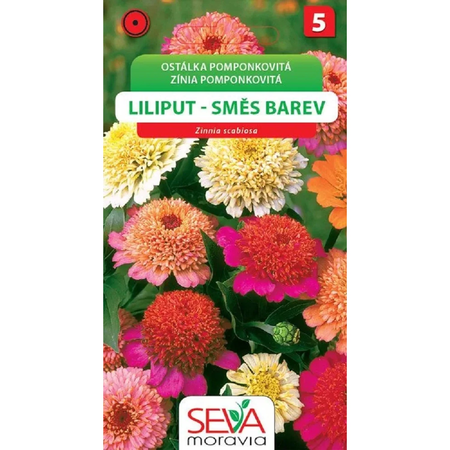 Semínka Ostálka Pompónkovitá - Lilliput - směs (Zinnia elegans)