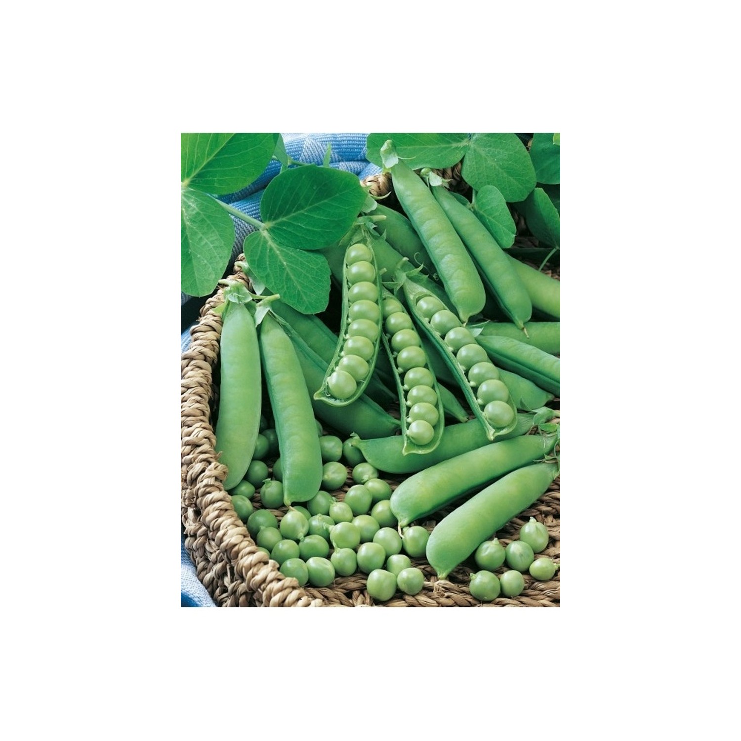 GardenSeed Premium Semínka Hrách setý Prémium, 250 g