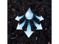 Seramis Substrát pro kaktusy a sukulenty 2,5 l