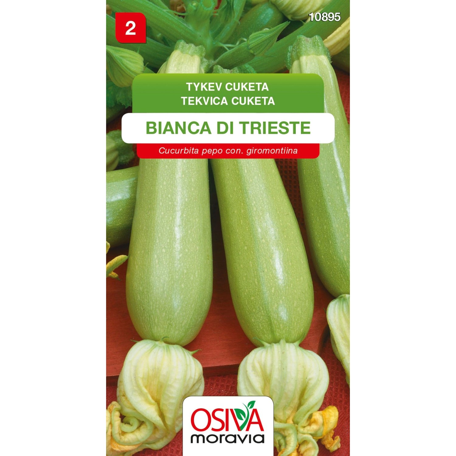 Semínka Tykev cuketa Bianca di Trieste (Cucurbita pepa noc. giromontiina)