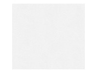 A. S. Creation Přetíratelná vliesová tapeta Meistervlies Creativ bílá 307271 A. S. Creation Přetíratelná vliesová tapeta Meistervlies Creativ bílá 307271