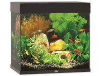 Juwel Aquarium Akvarijní set Lido LED, černá, 120 l, 61 x 41 x 58 cm