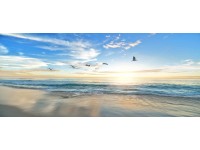 Bondecor Obraz, tištěné plátno Obloha 50 x 120 cm