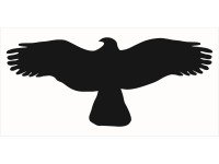 Samolepka Silueta dravce 200 mm x 80 mm