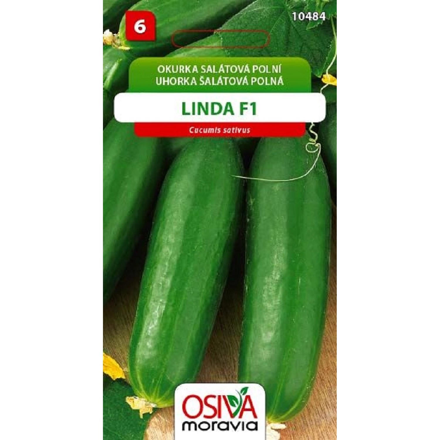 Semínka Okurka salátová polní Linda F1 (Cucumis sativus)