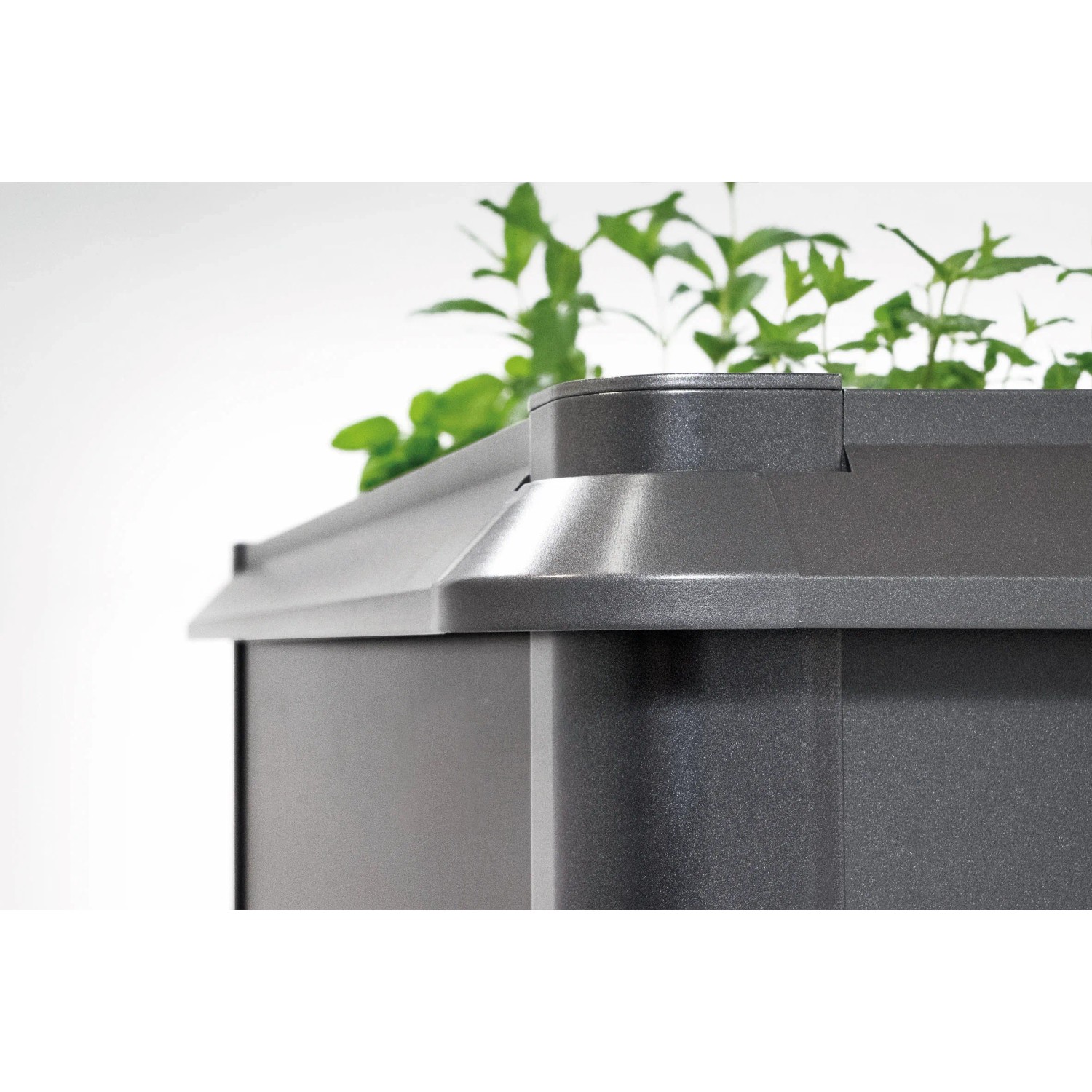 Biohort Ochrana před hlemýždi a slimáky pro 2 x 1, tmavě šedá, 6 cm