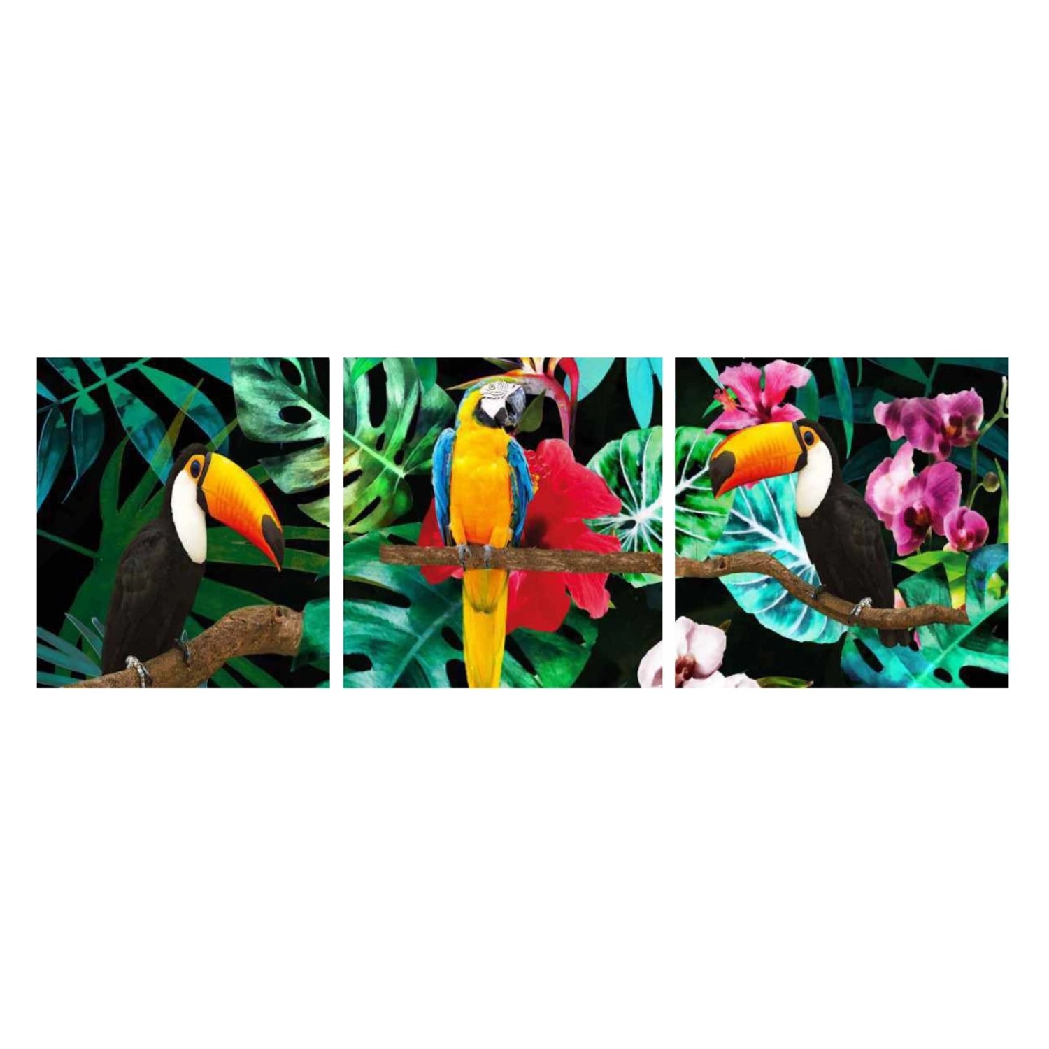 Bondecor 3dílná sada obrazů Jungle 30 x 90 cm