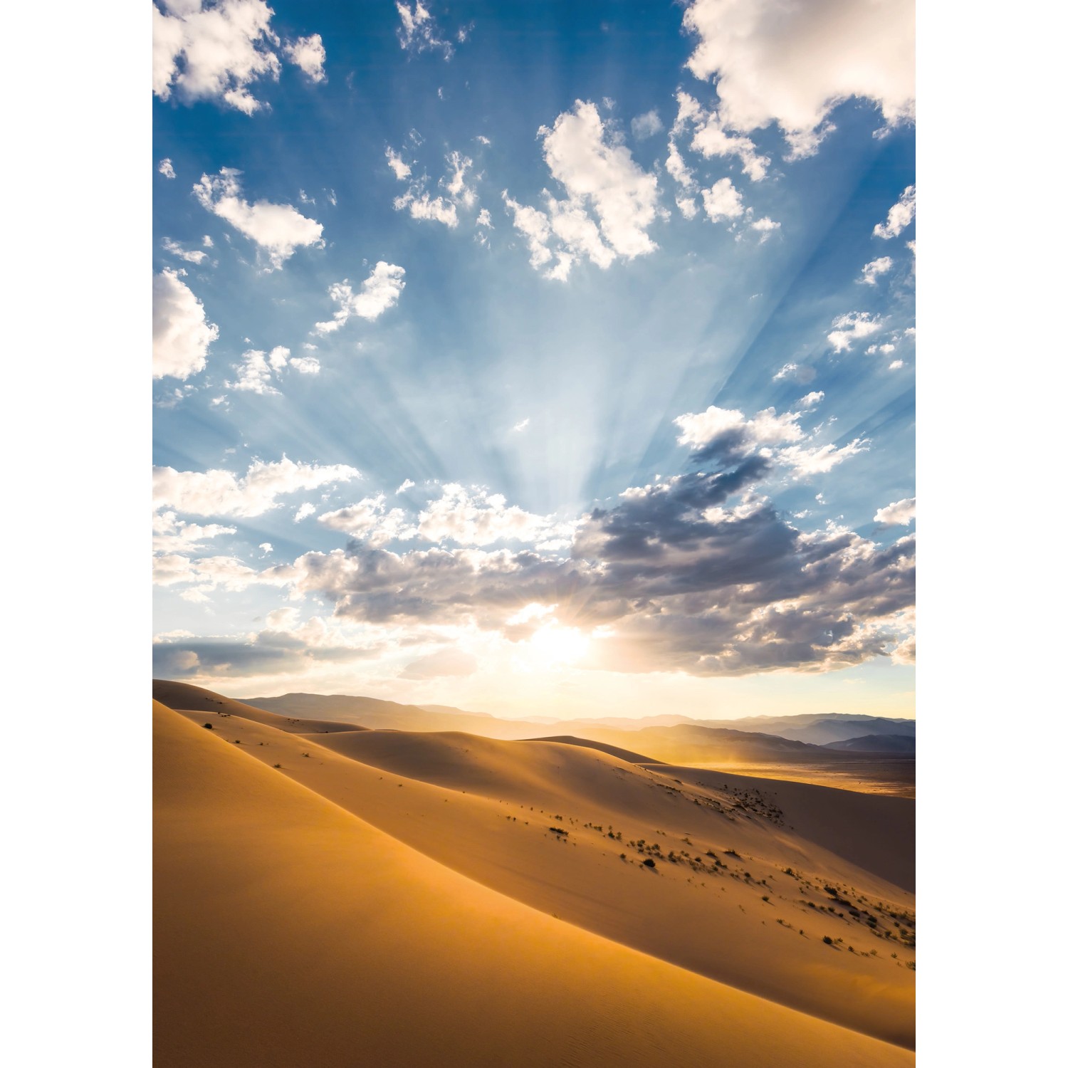 Komar Vliesová fototapeta Wüstenmagie 200 x 280 cm