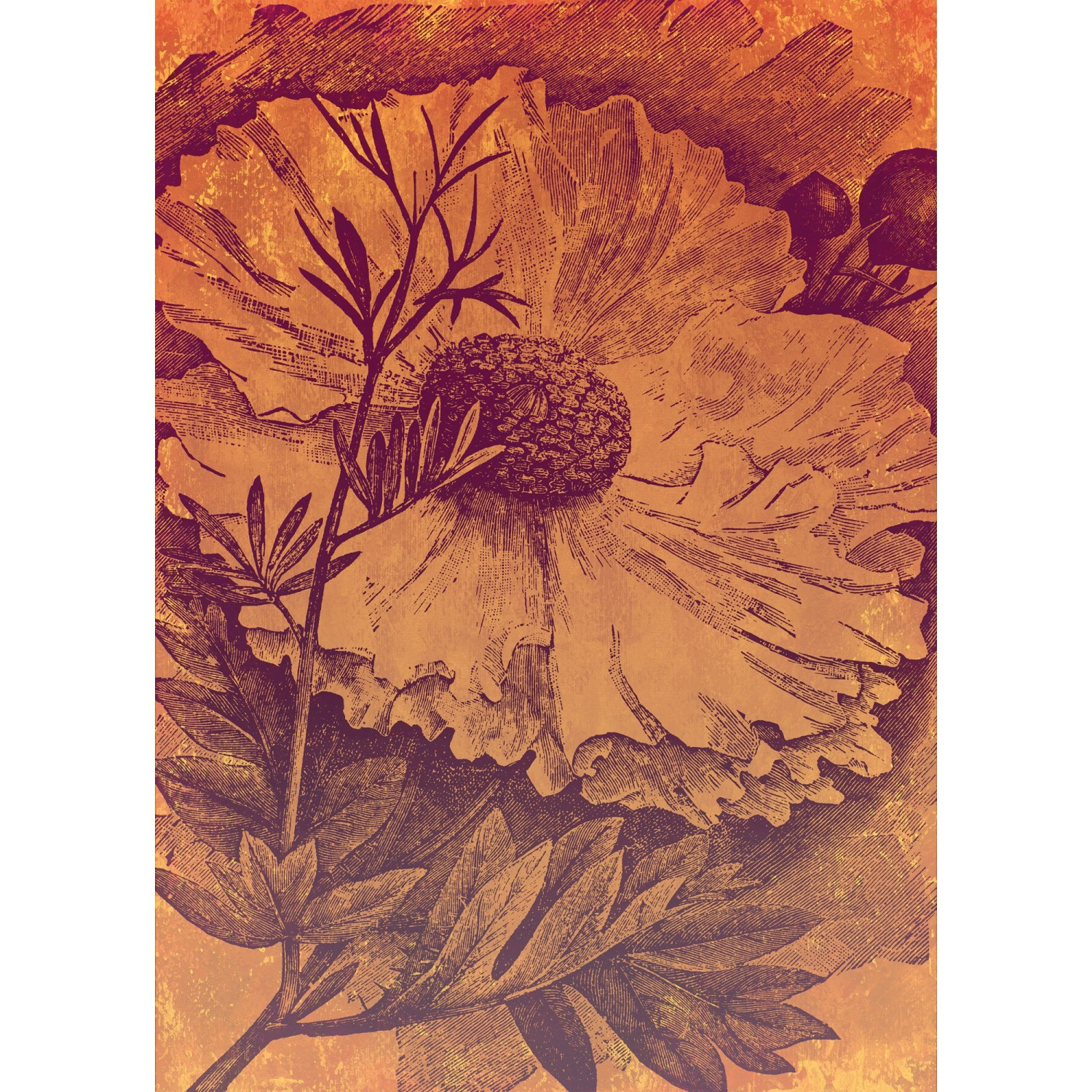 Komar Vliesová fototapeta Harvest 200 x 280 cm