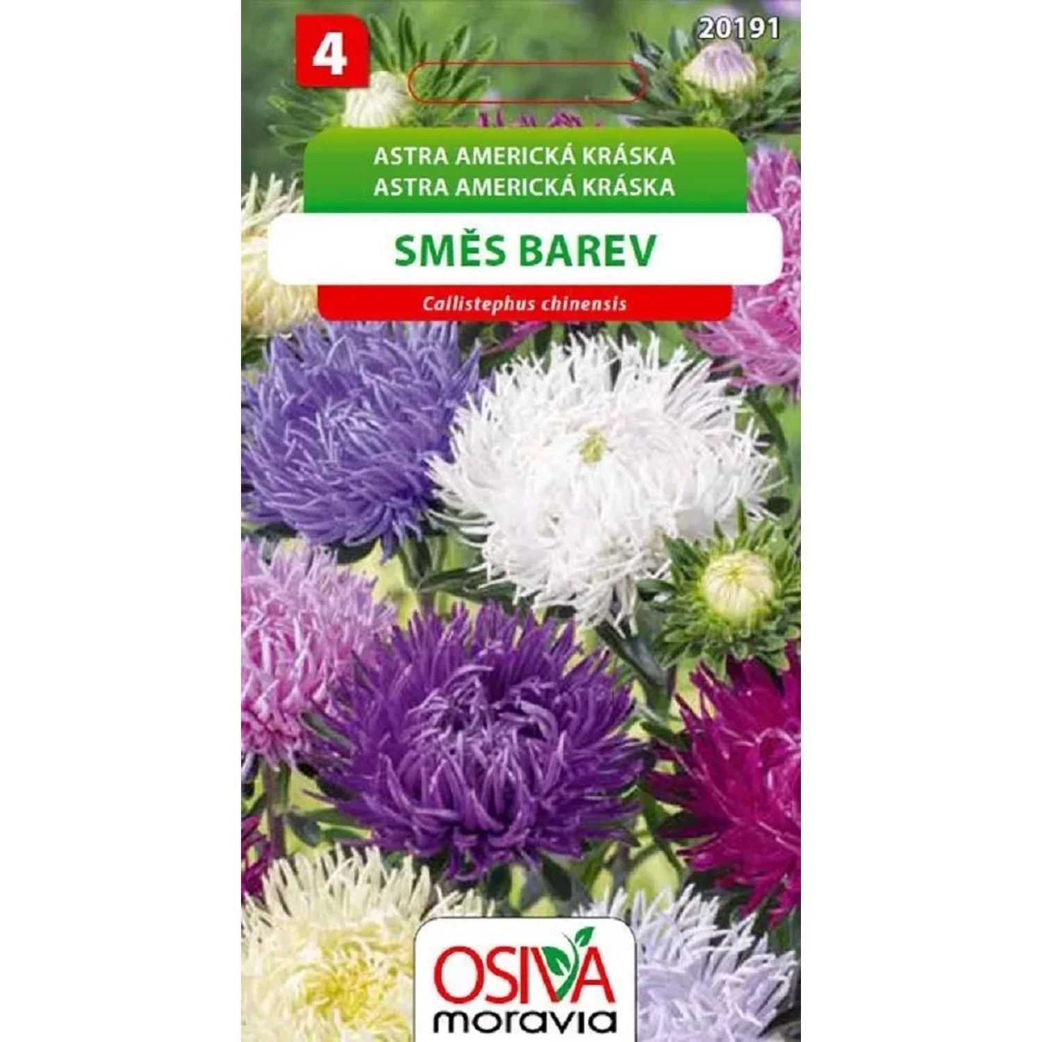 Semínka Astra americká kráska Směs barev (Callistephus chinensis)