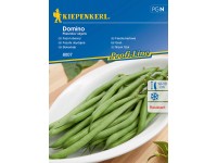 Kiepenkerl Fazol obecný Domino