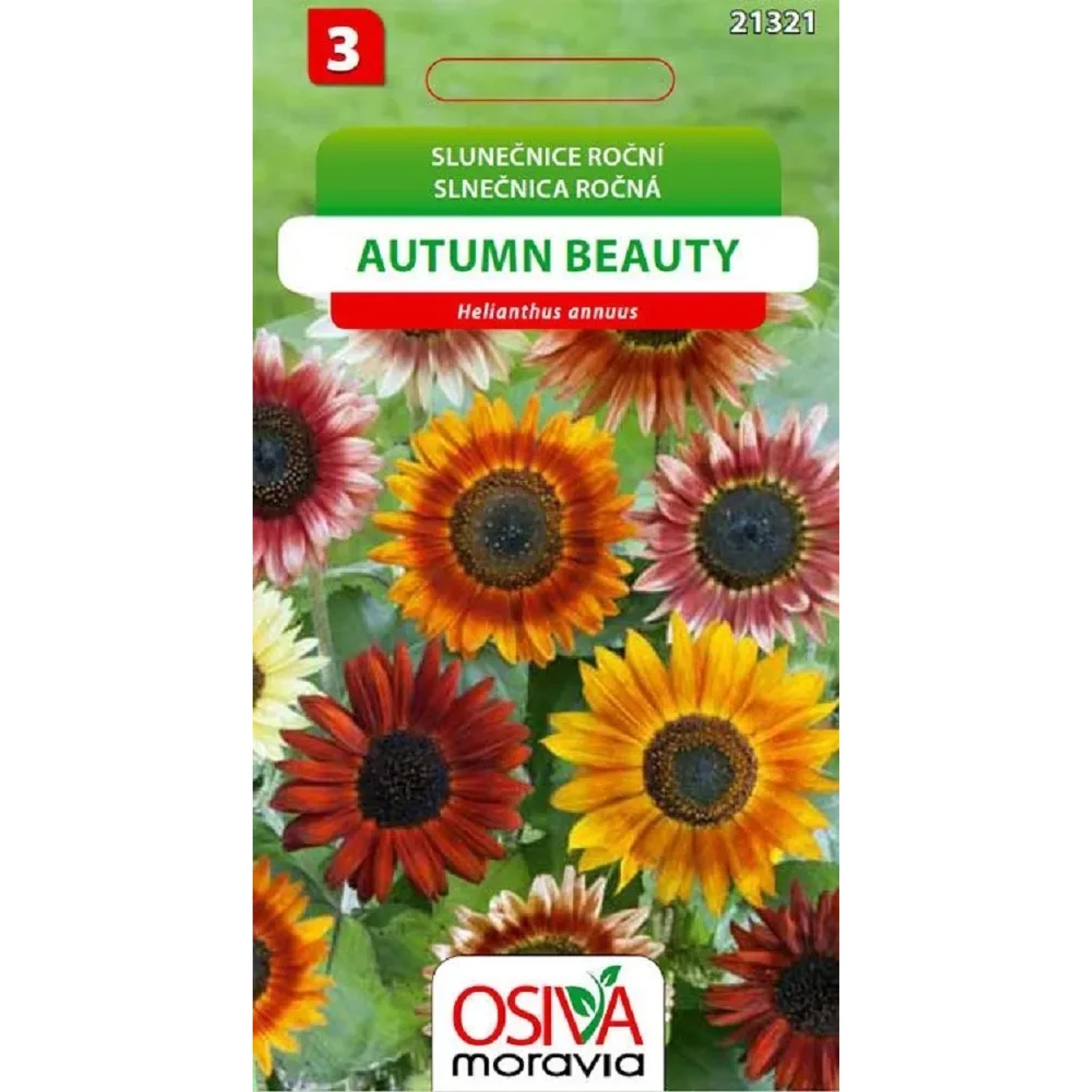 Semínka Slunečnice roční Autumn Beauty (Helianthus annuus)