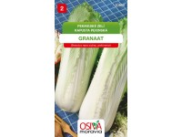 Pekingské zelí - Granaat (Brassica pekinensis)