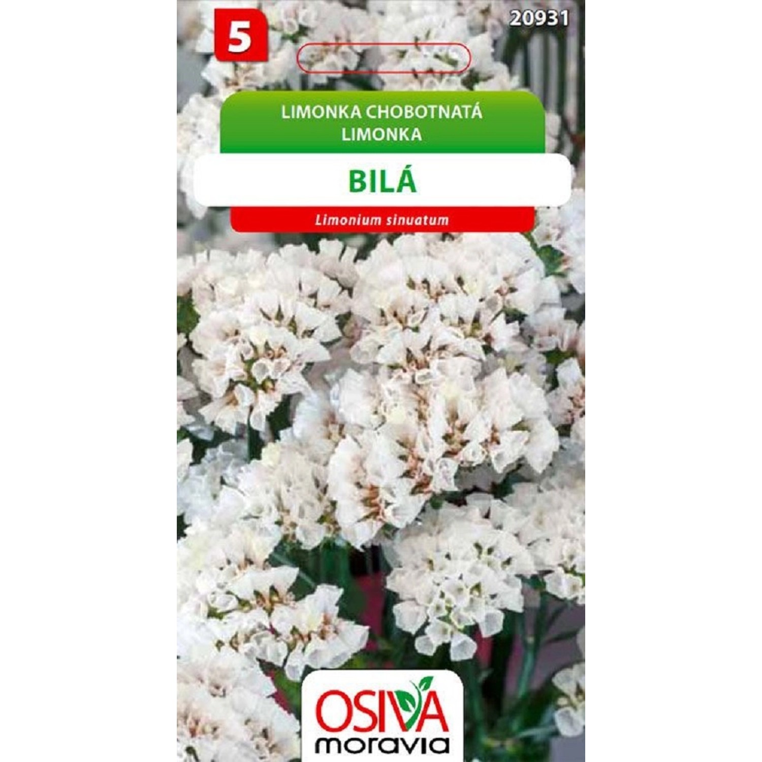 Semínka Limonka chobotnatá bílá (Limonium sinuatum)