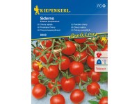 Kiepenkerl Cherry rajčata (Solanum lycopersicum) Siderno F1