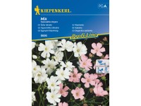 Kiepenkerl Semínka Šater latnatý mix