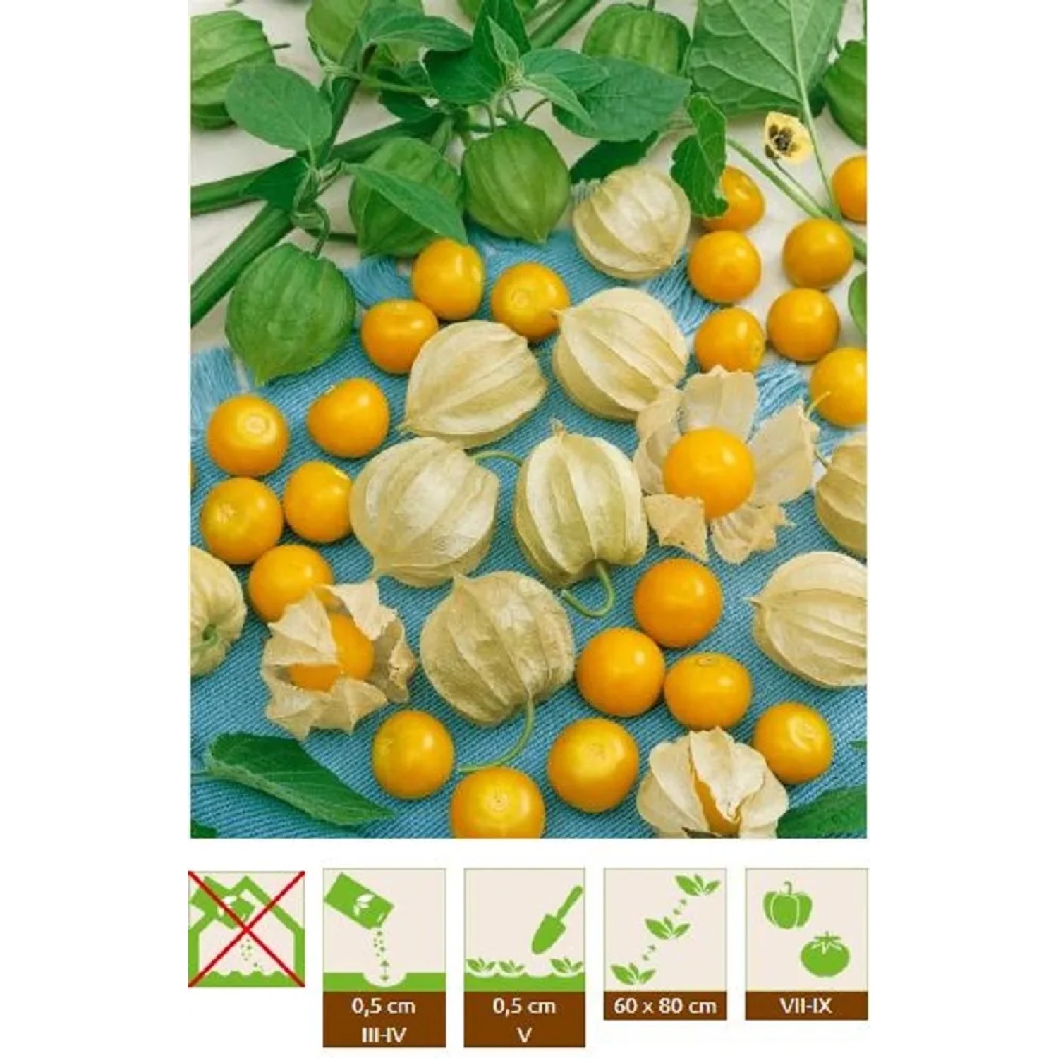 GardenSeed Premium Semínka Mochyně Peruánská 0,1 g