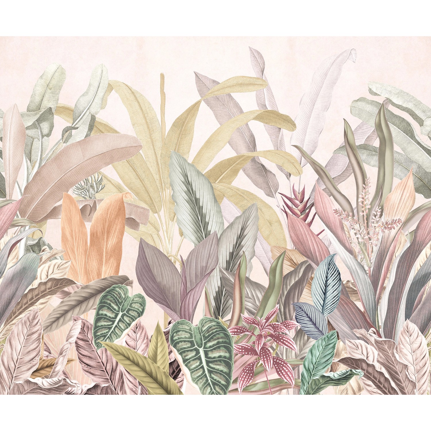 Komar Vliesová fototapeta Marvelous Martha 300 x 250 cm