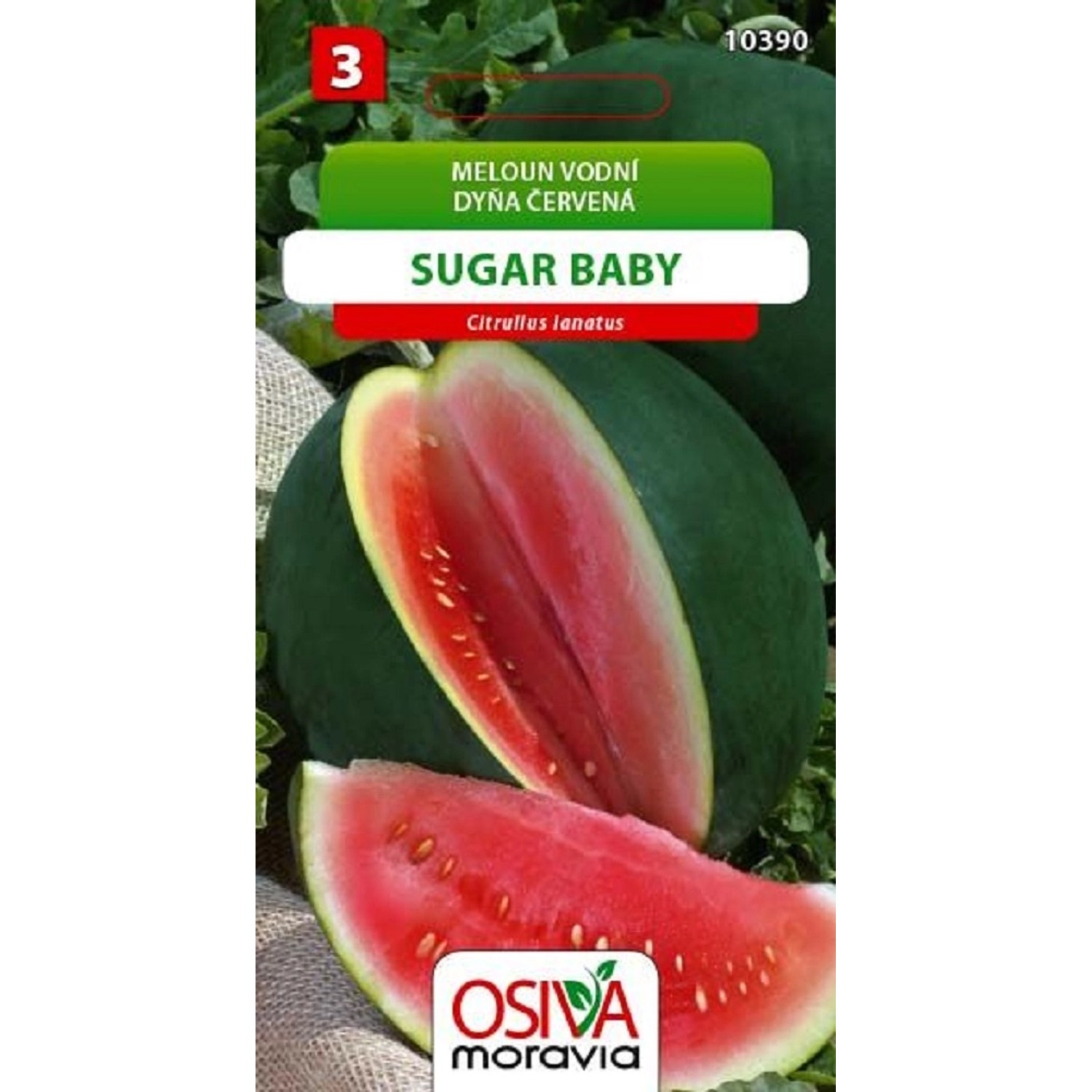 Semínka Meloun vodní Sugar Baby (Citrullus lanatus)