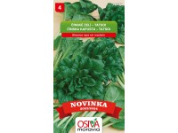 Semínka Čínske zelí Pak Choi - Tatsoi (Brasica rapa var rosularis)