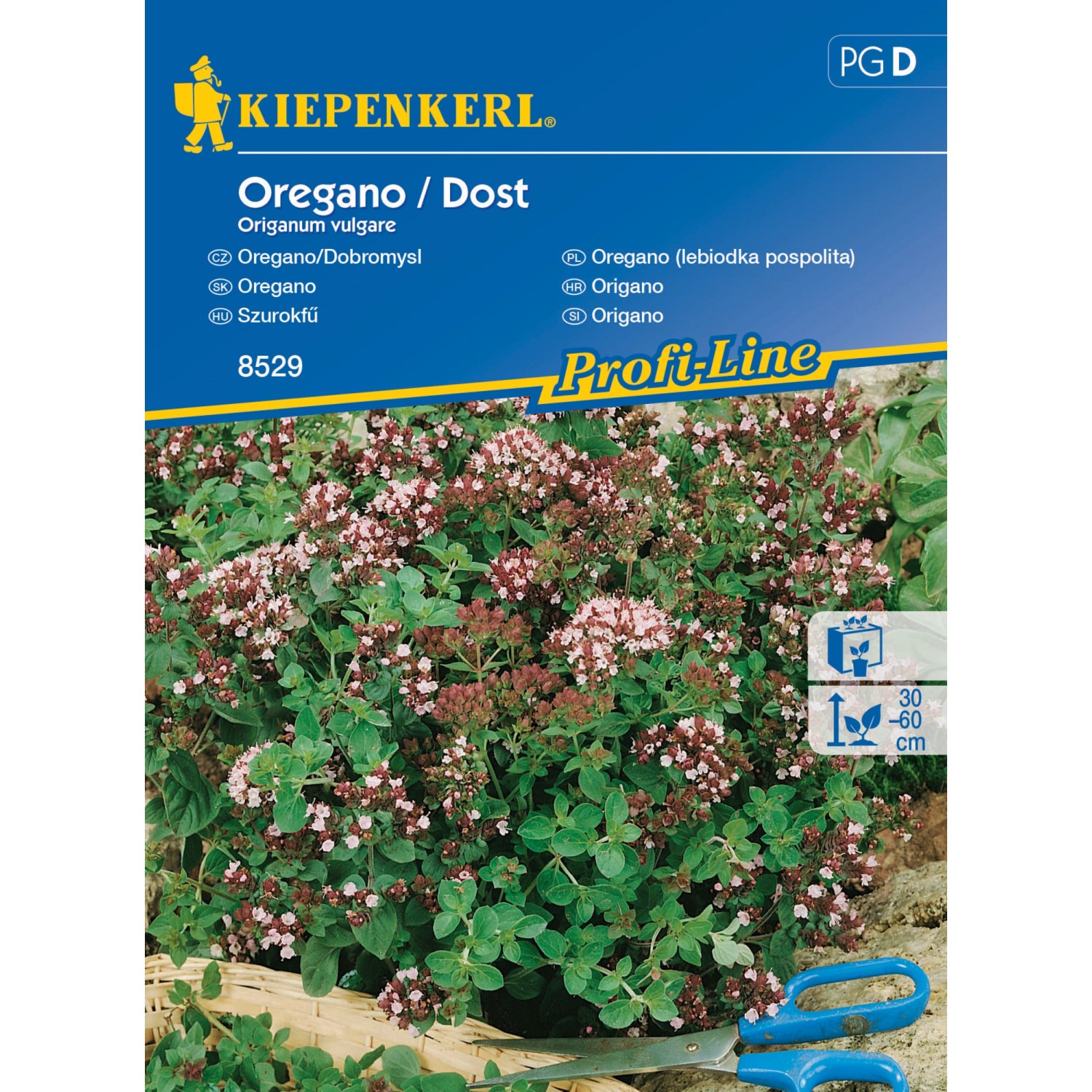 KIEPENKERL Oregano/ dobromysl (Origanum vulgare) víceleté
