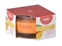 Bolsius Vonná svíčka ve skle Mango, 80 x 50 mm