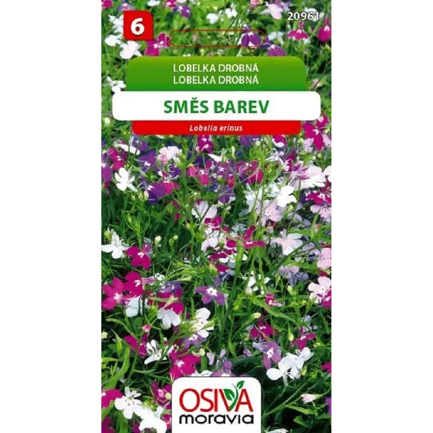 Semínka Lobelka Drobná - směs (Lobelia erinus)