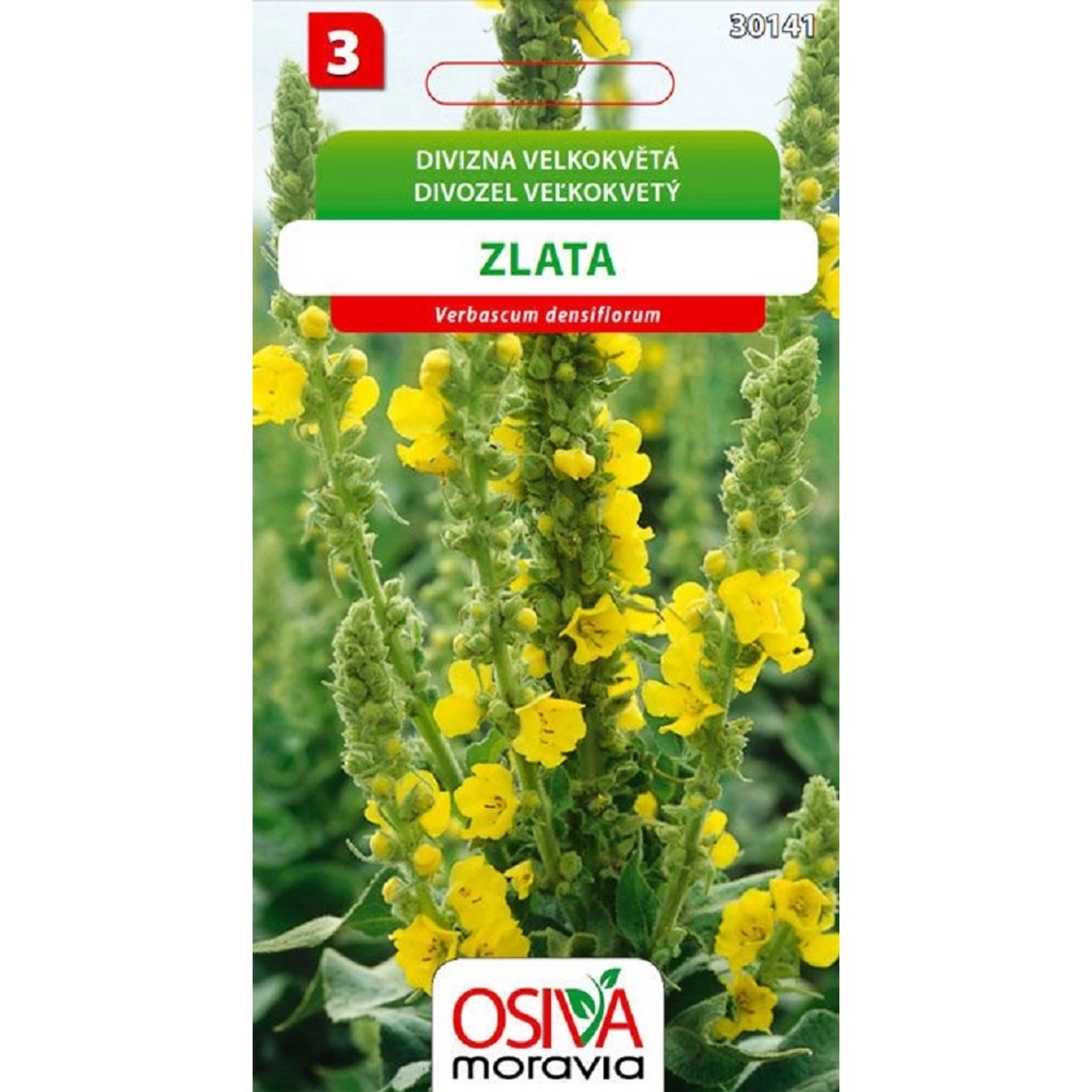 Semínka Divizna velkokvětá Zlata (Verbascum densiflorum)