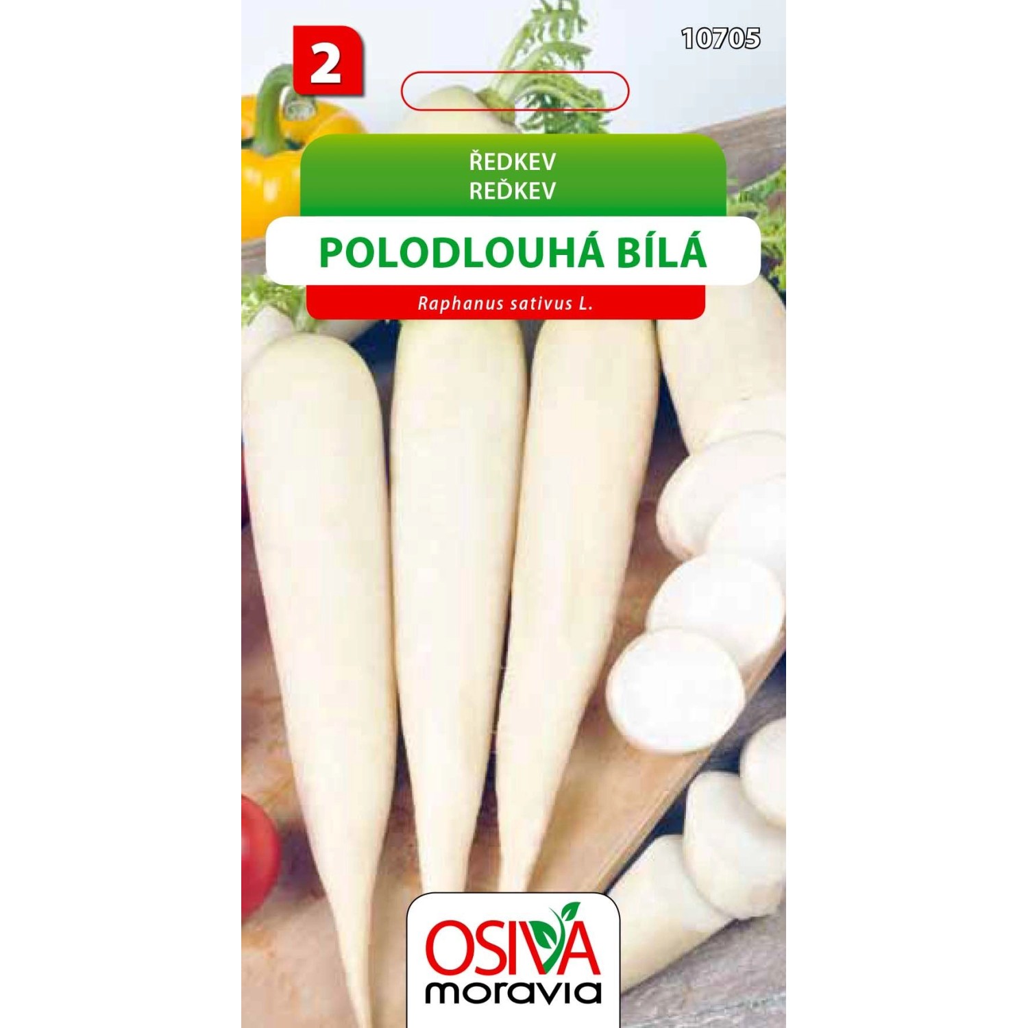 Semínka Ředkev polodlouhá bílá (Raphanus sativus L.)