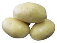 Brambory DALI sadbové žluté rané 5 kg Brambory DALI sadbové žluté rané 5 kg