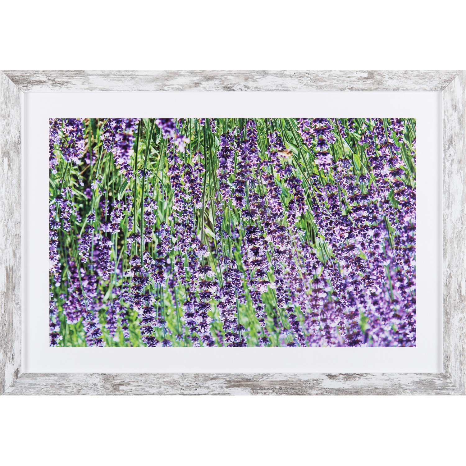 Bondecor Obraz v moderním rámu Provance 37 x 53 cm