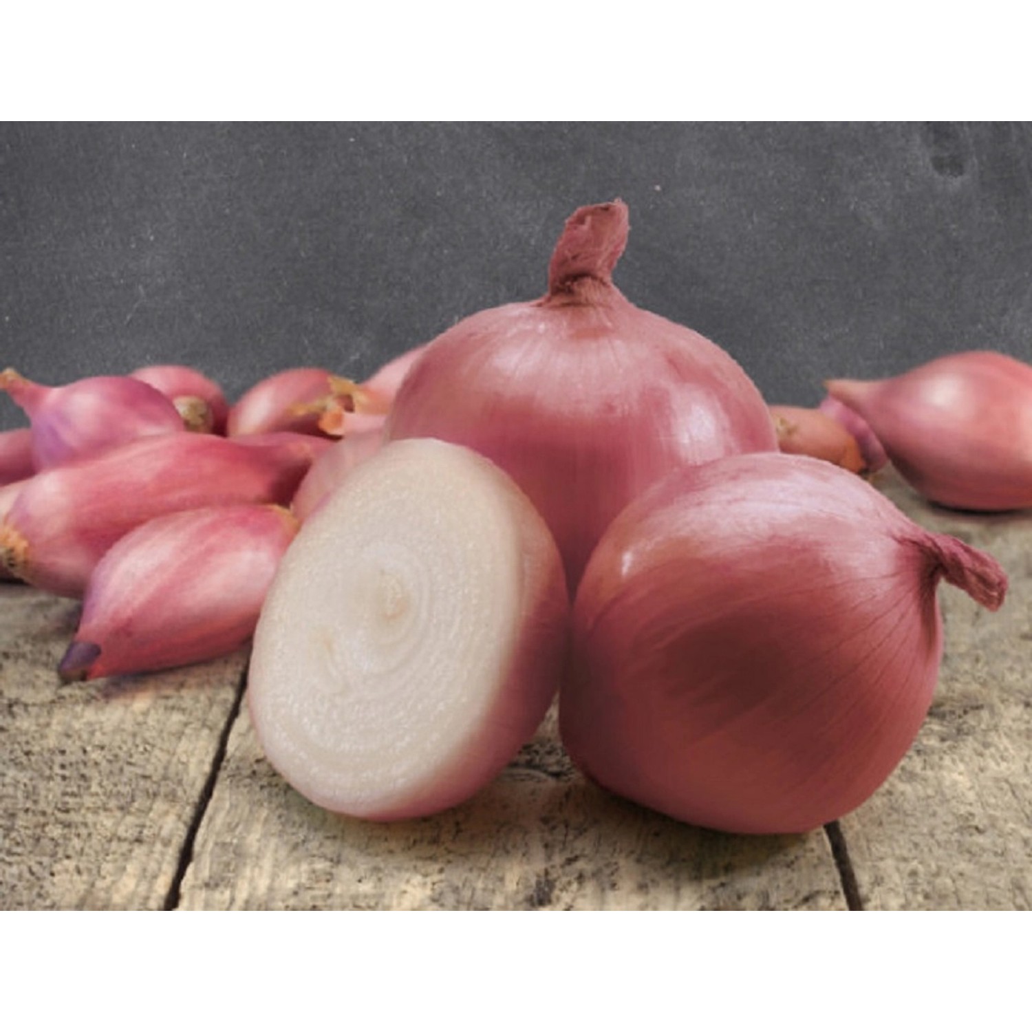 GardenSeed Premium Cibule sazečka Rosanna, 250 g