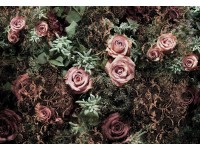 Komar Papírová fototapeta Velvet 368 x 254 cm Komar Papírová fototapeta Velvet 368 x 254 cm