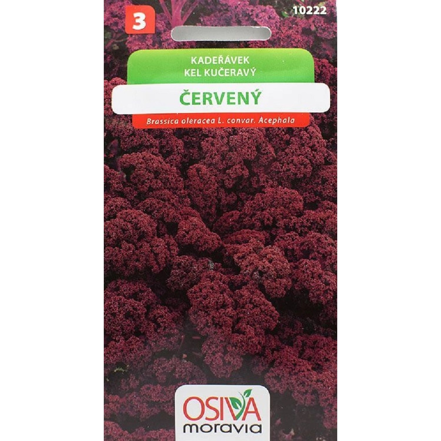 Semínka Kadeřávek červený (Brassica oleracea L. convar. Acephala))