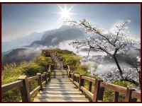 Bondecor Obraz Putframe Scenerie 50 x 70 cm