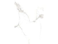 Dlažba Statuario Classic, matná, 30 x 60 cm