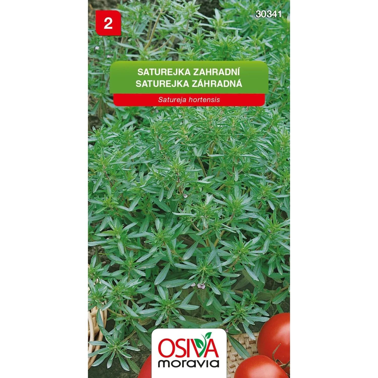 Semínka Saturejka zahradní (Satureja hortensis)