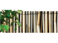 NOHEL GARDEN Rákosová rohož lesklá 1 x 5 m