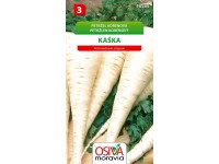 Petržel kořenová - Kaska (Petroselinum crispum)