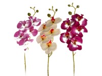 EverGreen Umělá květina orchidej, 5 květů a poupata, různé druhy, 70 cm