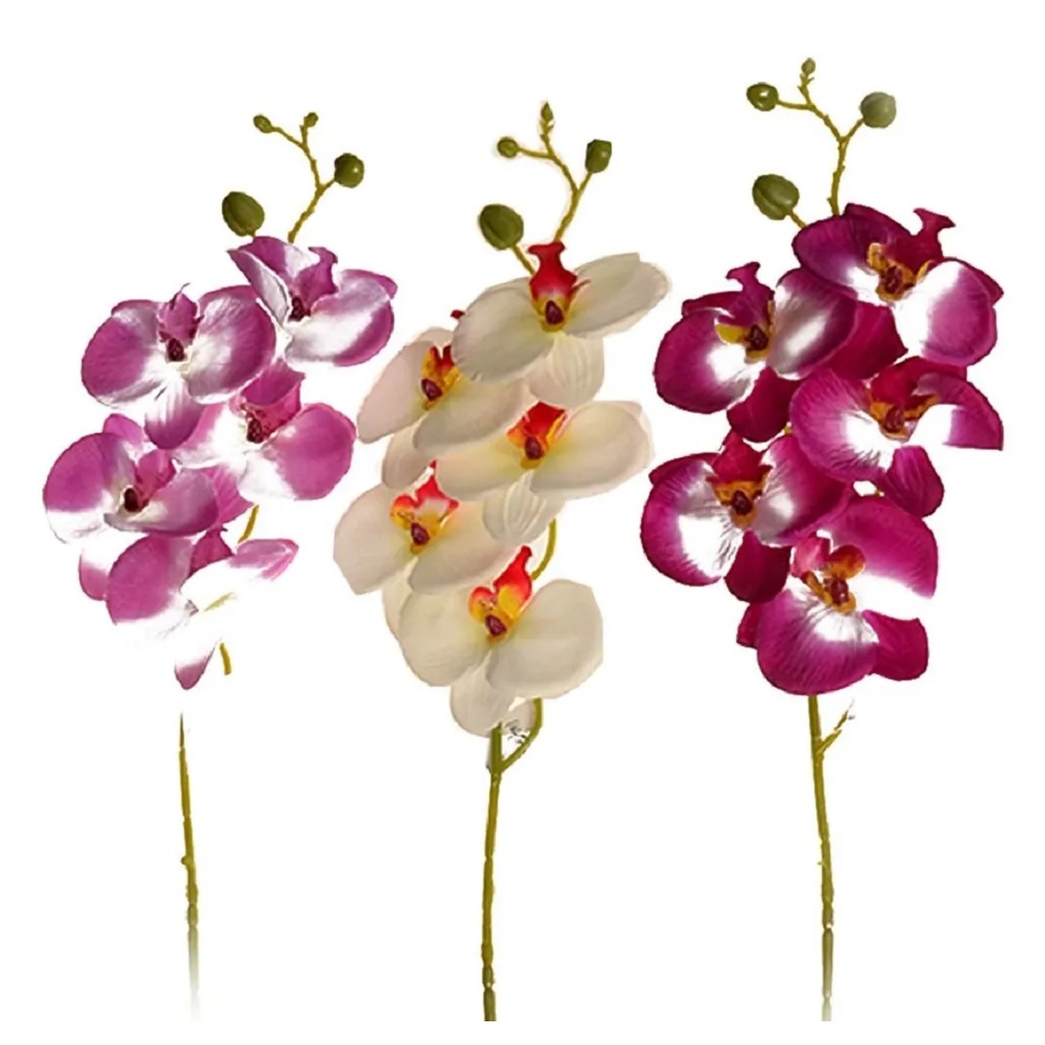 EverGreen Umělá květina orchidej, 5 květů a poupata, různé druhy, 70 cm