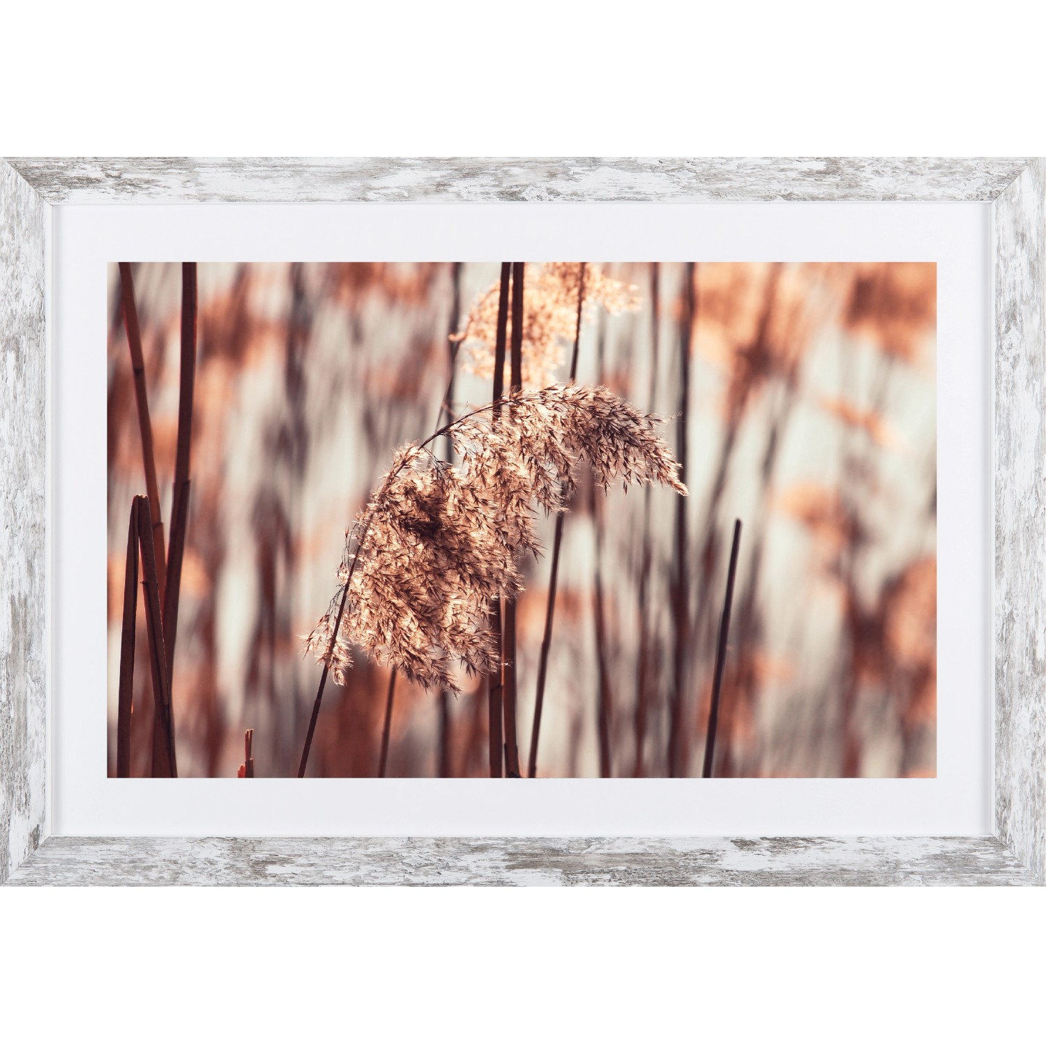 Bondecor Obraz v moderním rámu Detail 37 x 53 cm