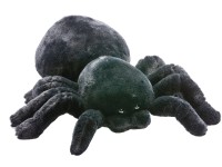 Plyšový pavouk, černá, 30 cm Plyšový pavouk, černá, 30 cm